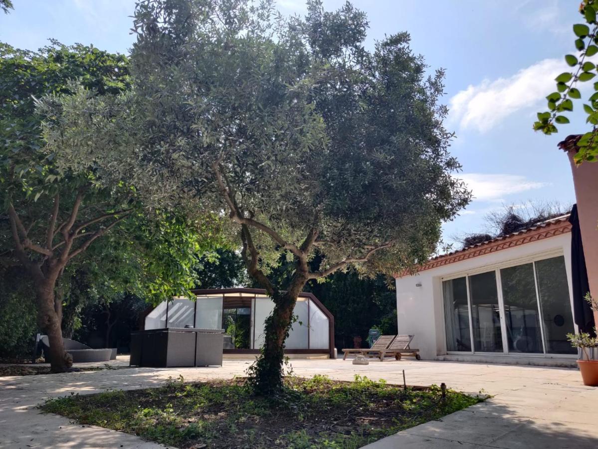 Villa Muscat, Piscine Chauffee & Spa Frontignan Exterior photo